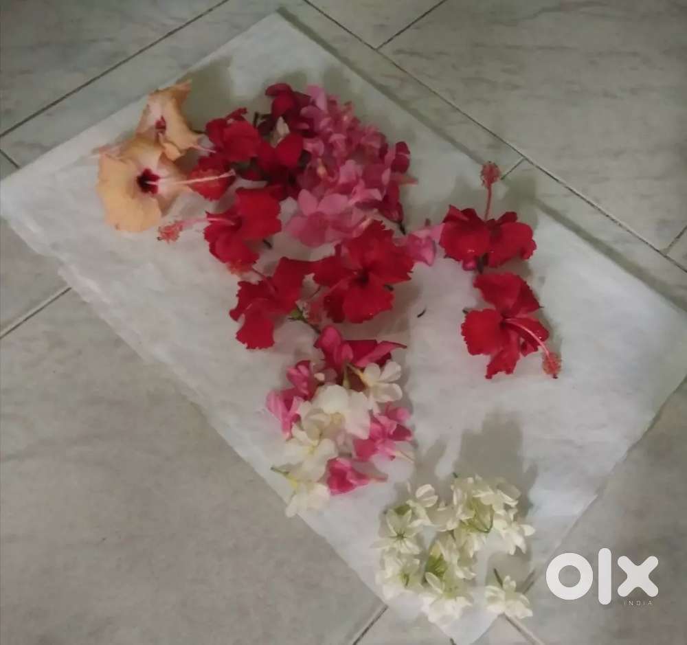 Fresh hibiscus flowers and all flowers