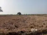 0.2000 Guntas land patta Agriculture Land type NH 65 10km at land