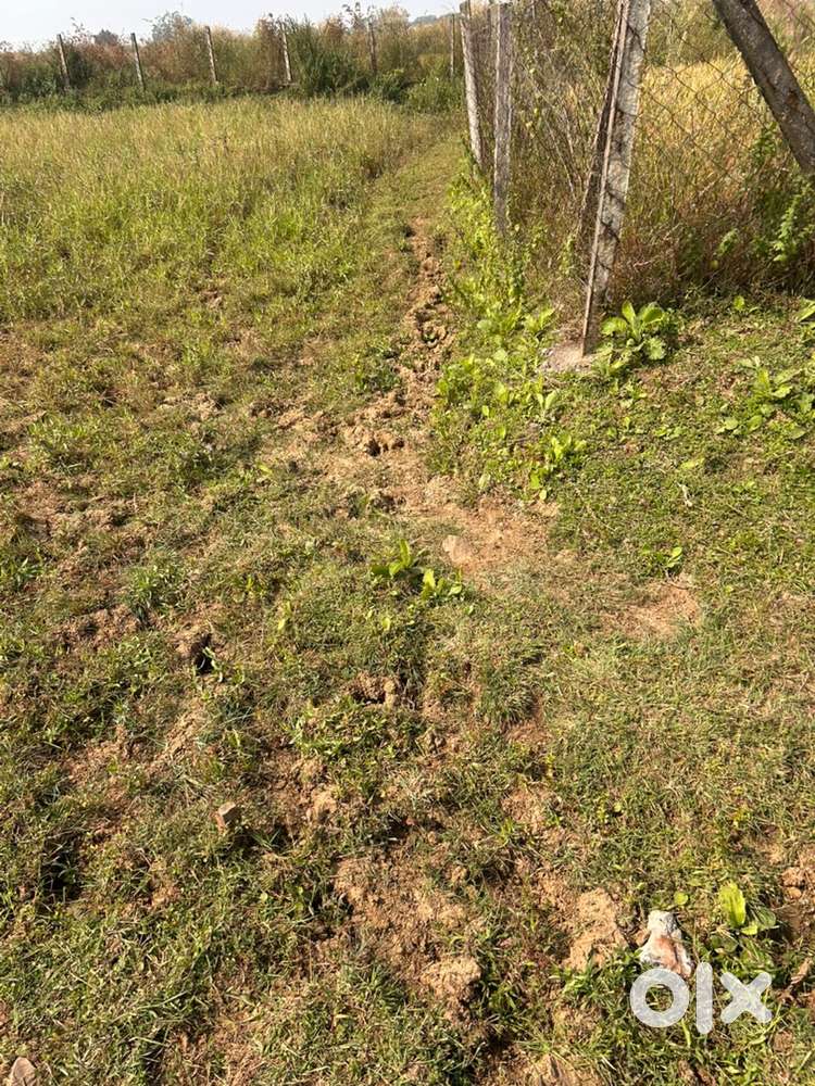 3.5 Acres Land for Sale in Naya Raipur near Girhola