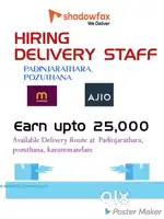 Delivery executuve for online courier