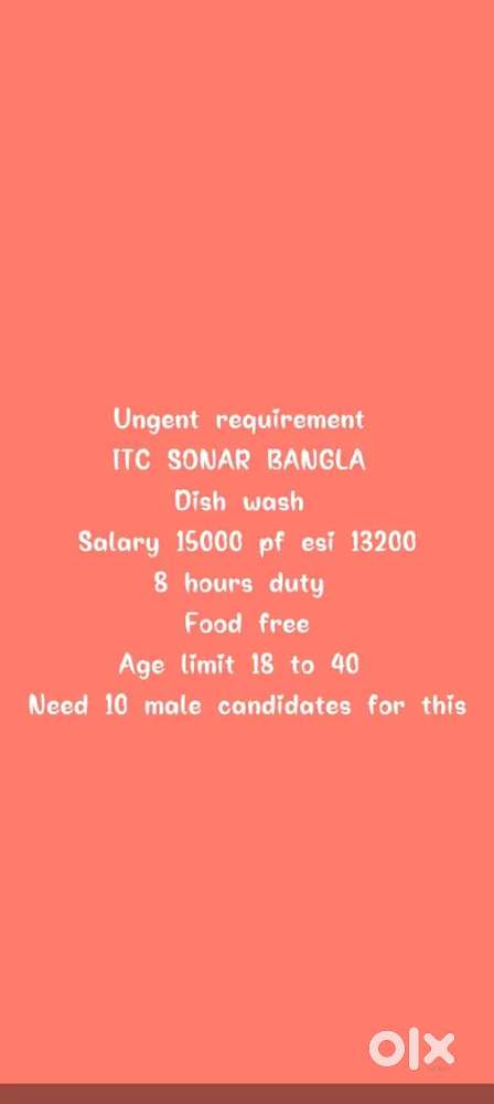 Provide all type of job
