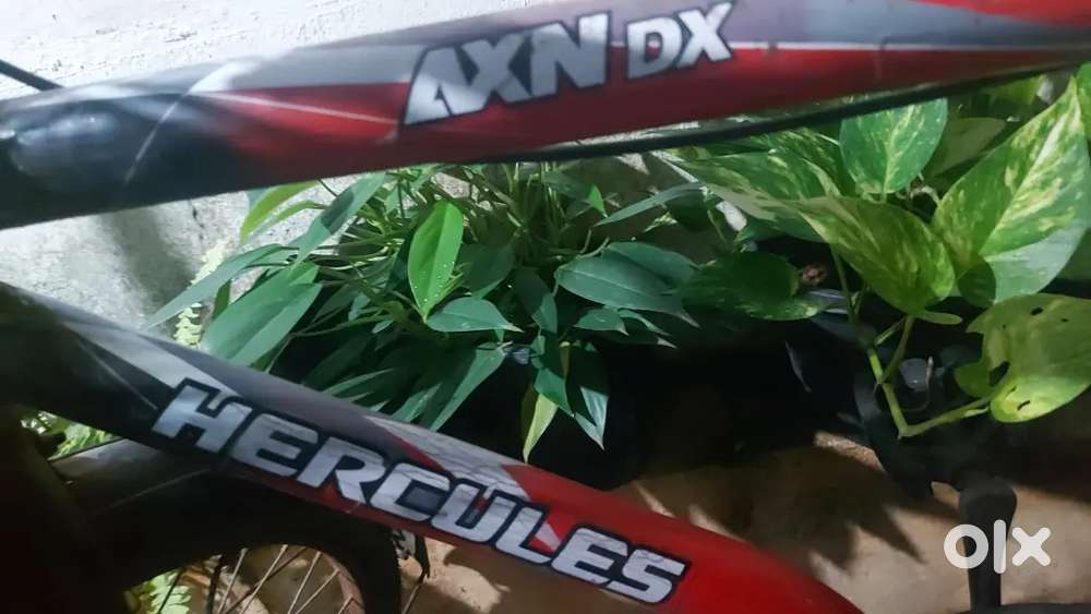 Bycycle good condition