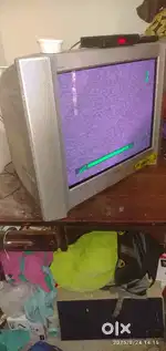 Sony wega tv hai