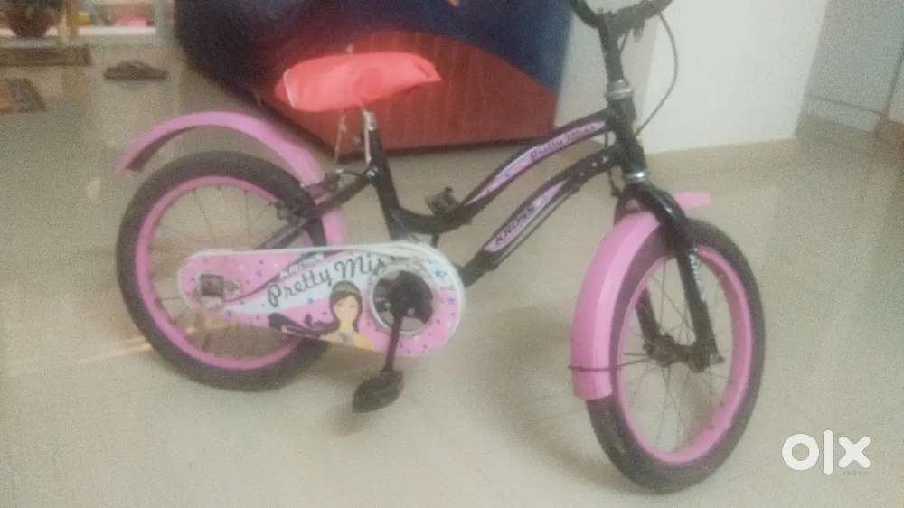 Grils cycle