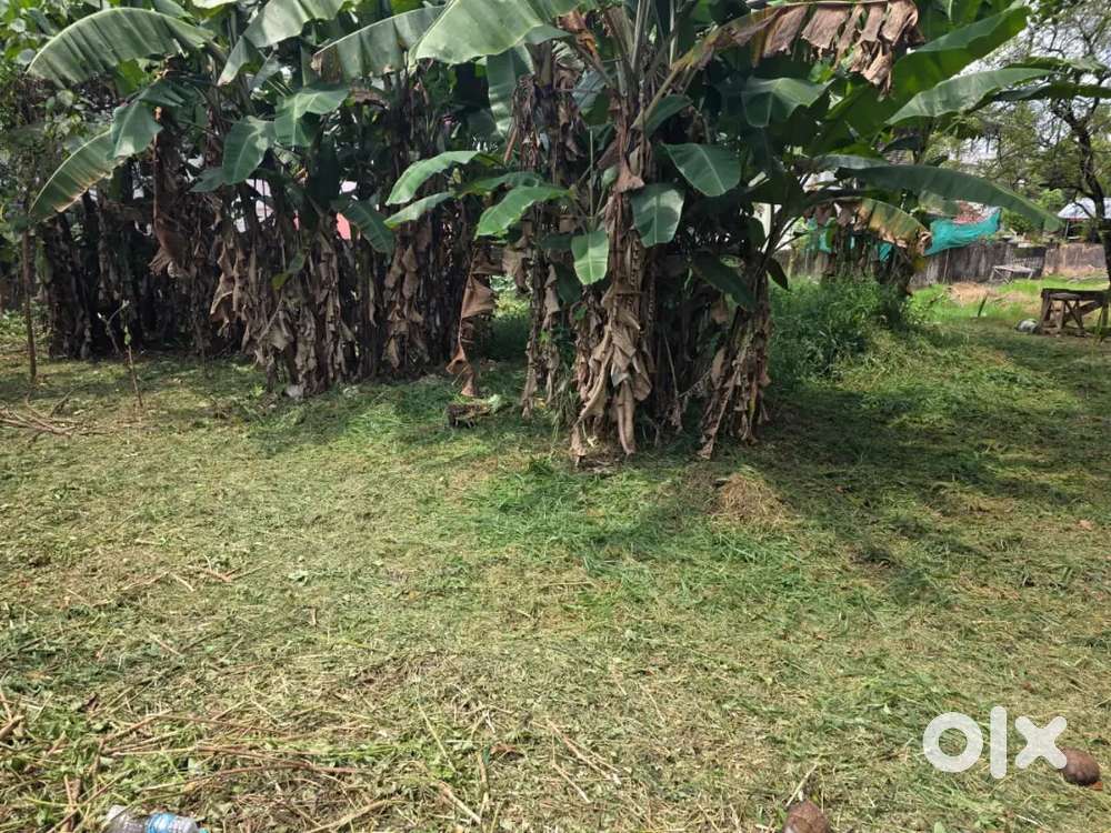 Edappally Pathadipalam 13cent land for sale