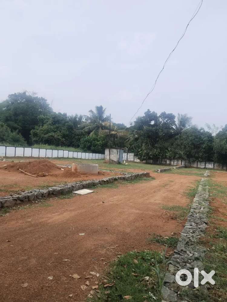 Thrissur kuttanallur near 6, 7, 8 cent plot for sale per cent 6 lakh