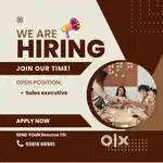 Retail Sales Executive