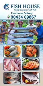 Fish cutting butcher need