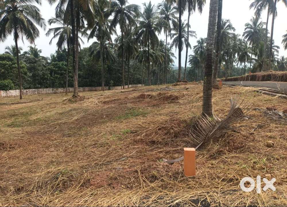 Plots for sale in Viyyakurissi, Mannarkkad