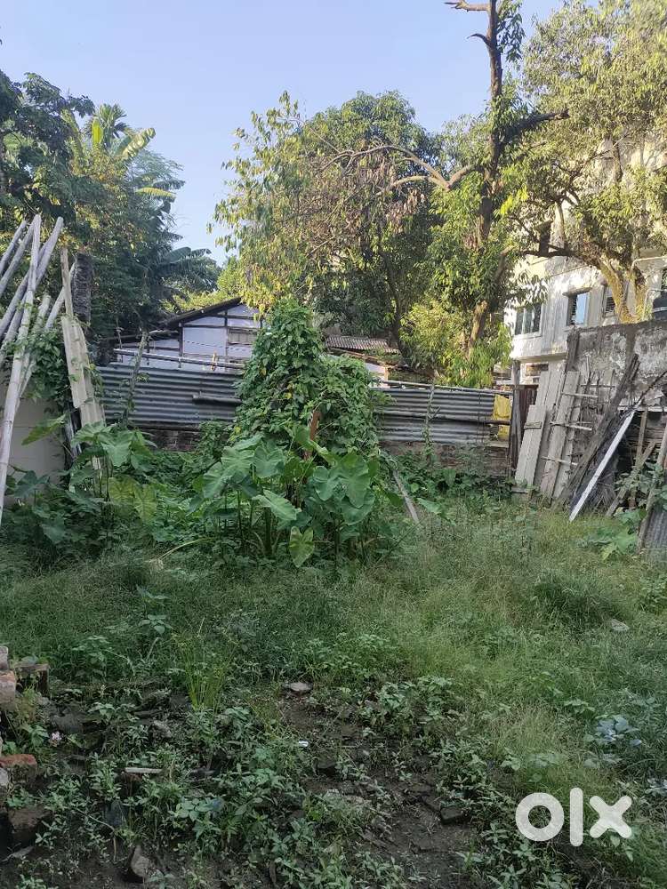 19 Lessa Miyadi Land for Immediate Sale at Birubari, Rupnagar Junakpur