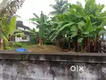 3 CENT LAND KAKKANAD JENTION NEAR /LAND SUITABLE APARTMENT HOUSE