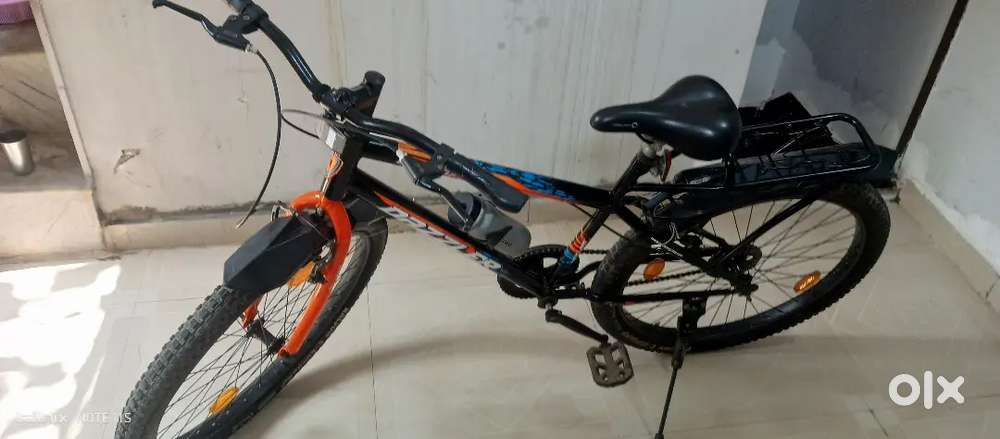 3 month old new cycle