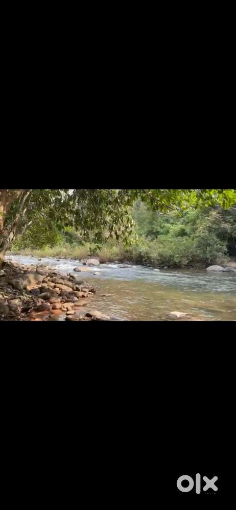 165cent Land in Kozhichal ,Cherupuzha ,Kannur ,Kerala  For Sale