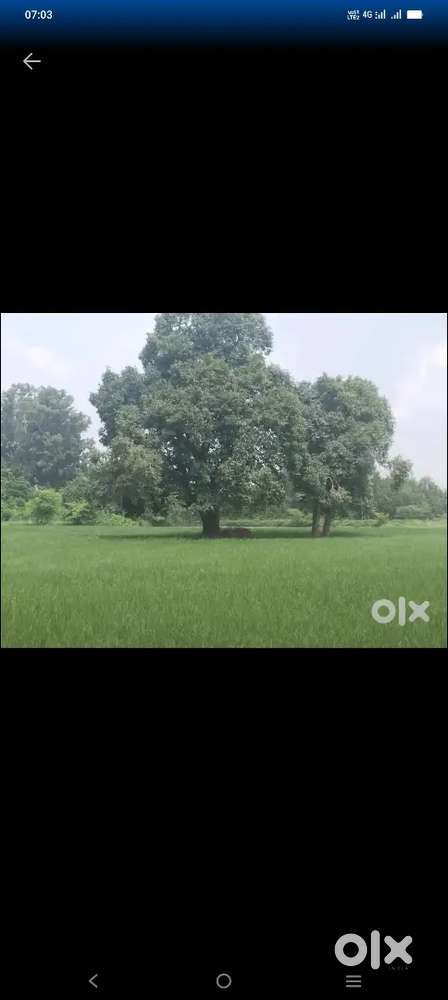 Shivrajpur ka toll tax pass Khet