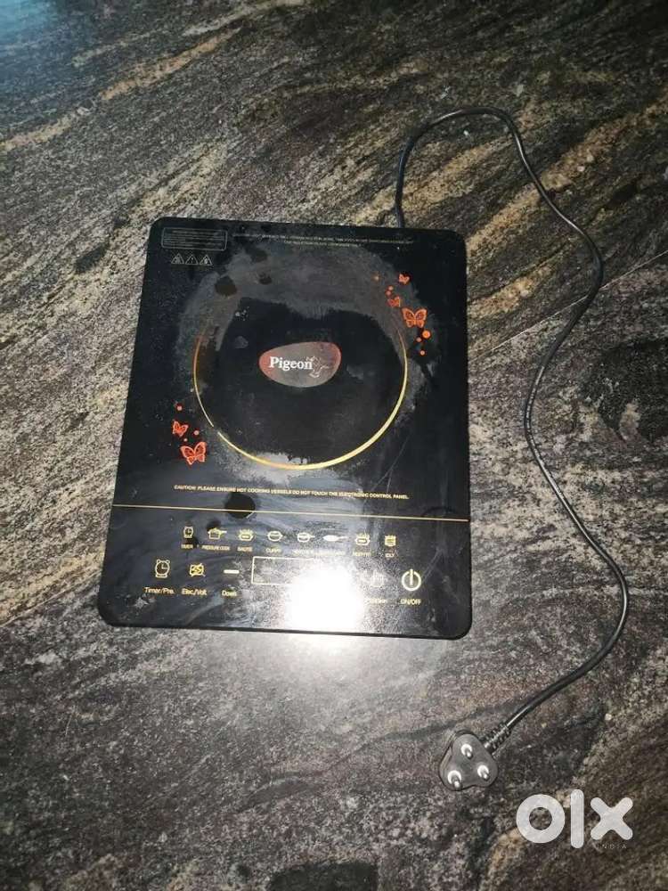 Electric Induction Stove