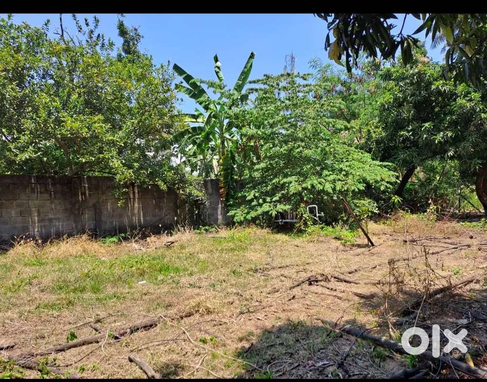 Land for rent in omr sholinganallur