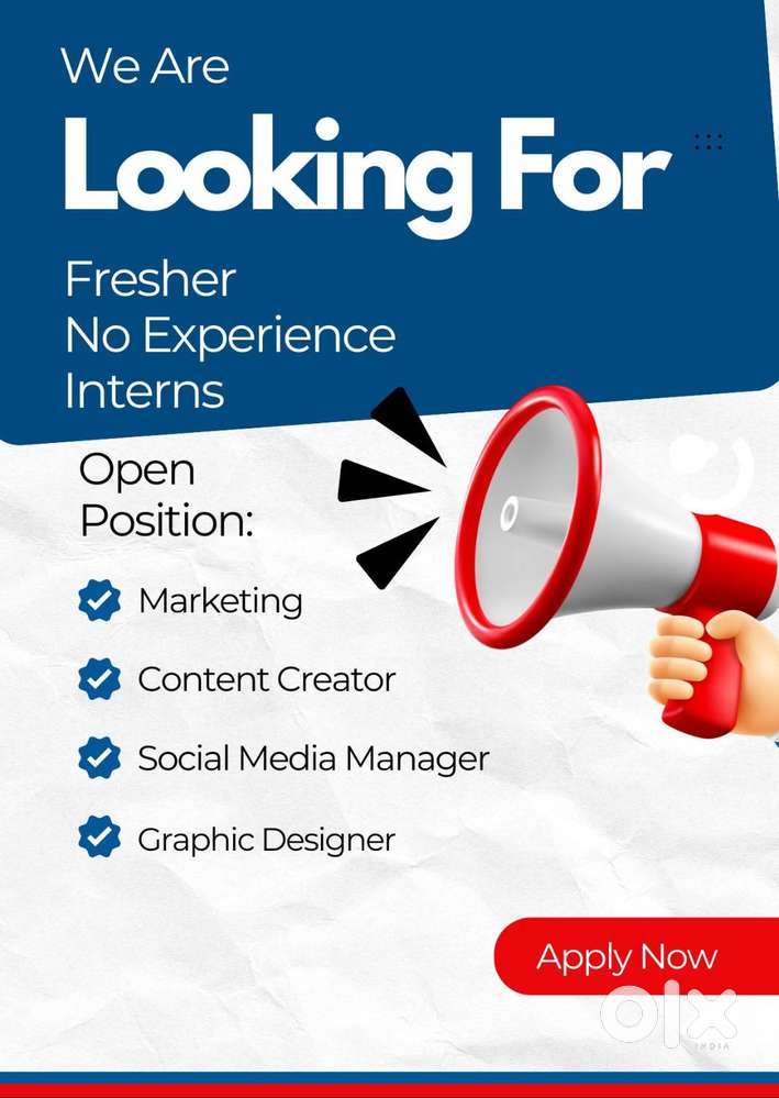 Job for Fresher, Part Time, Internship, No experience