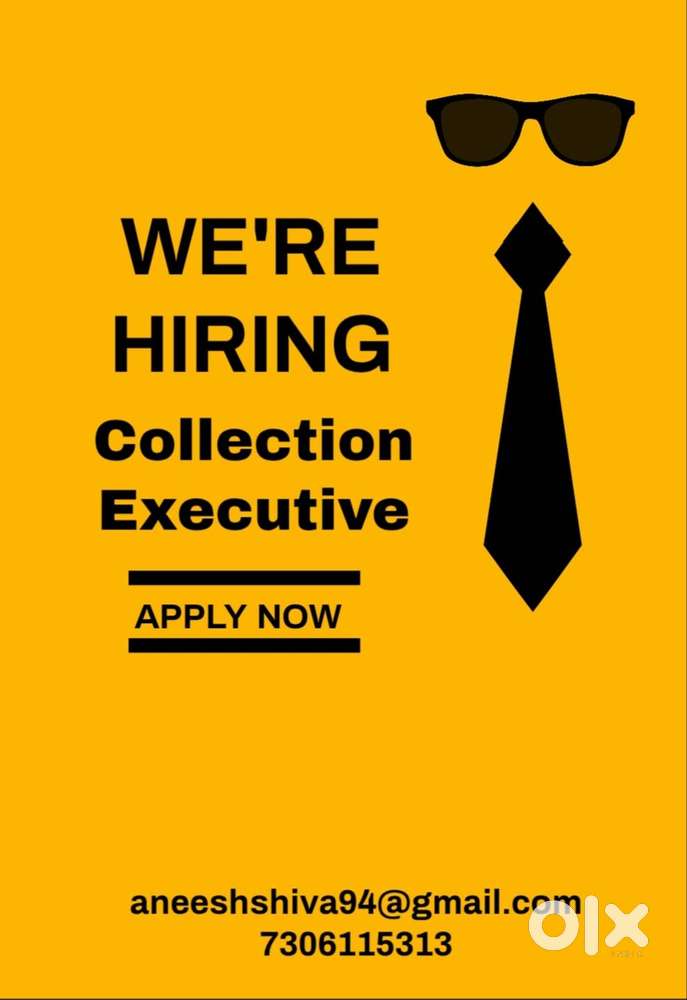 Hiring- Senior Collection Executive
