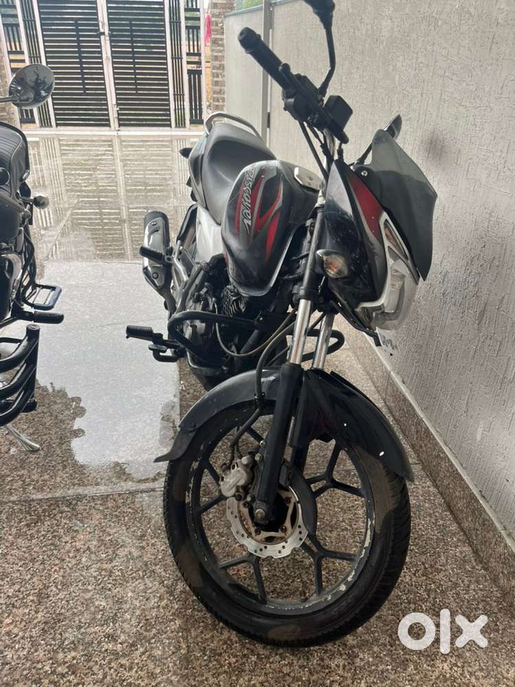 Discover 125st red black