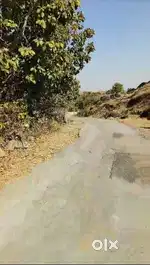 58,500 Sqft SDO Convert Land for Sale in Kadmal, Udaipur