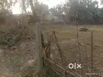 2 kotha Land for sale baihata chariali