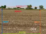 Agricultural land