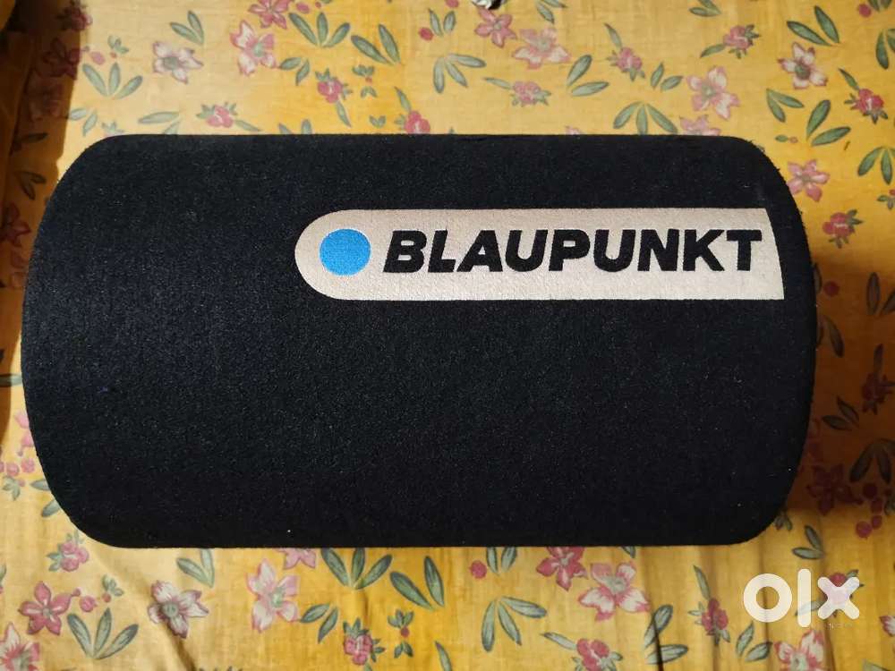 Blauepunkt Subwoofer 12