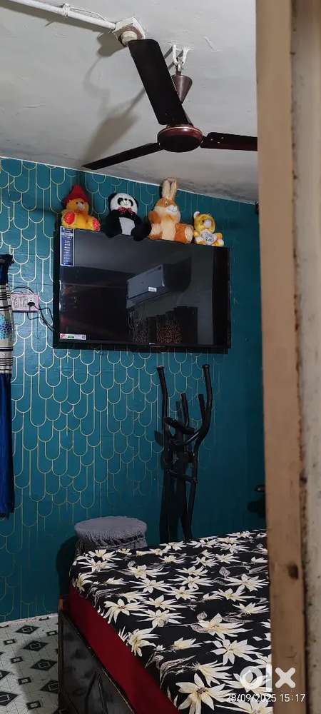50 TV (Crown)