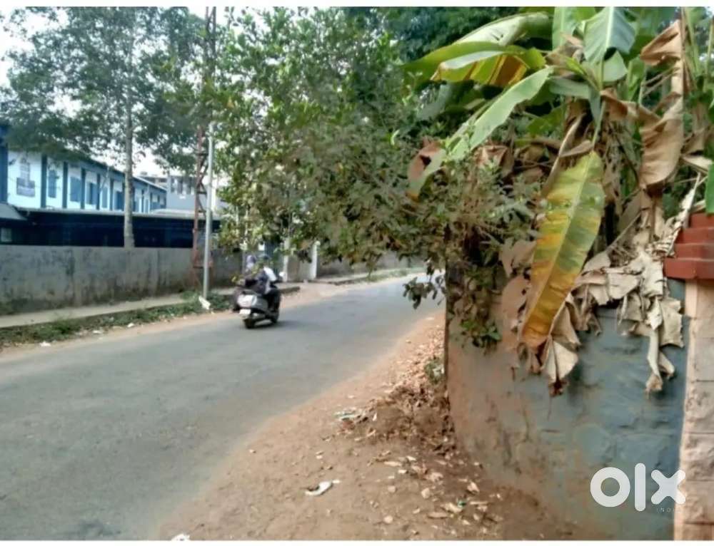 Chelavoor 10 cent plot for sale pallithazham 10 lakh per cent