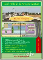 Residential Plots of 150 sqyds in & Around Mohali