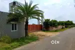 50 50 offfer low price best investment property