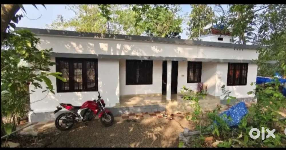 36സെൻ്റ് സ്ഥലവും 1300sqft വീടും വിൽപ്പനയ്ക്ക്.