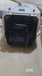 Dog airline travel caze available