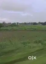 Commercial land on shamli bypass