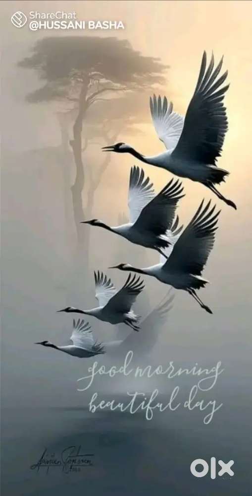 Easy access near bus stand