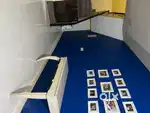 03 bhk fully furnished villa for rent