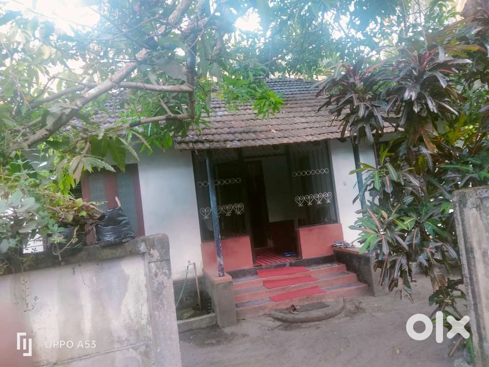 ചാവക്കാട് ബസ് സ്റ്റാൻഡിന് സമീപം 6.5 സെൻറ്‌ സ്ഥലവും വീടും വിൽപ്പനക്ക്