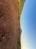 Proper Agreeculture Land For Devolopment, Table Plot Kokan Nature view