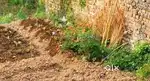 5 biswa urgent plot for sale rajawala selakui