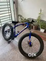 Fat tyre cycle