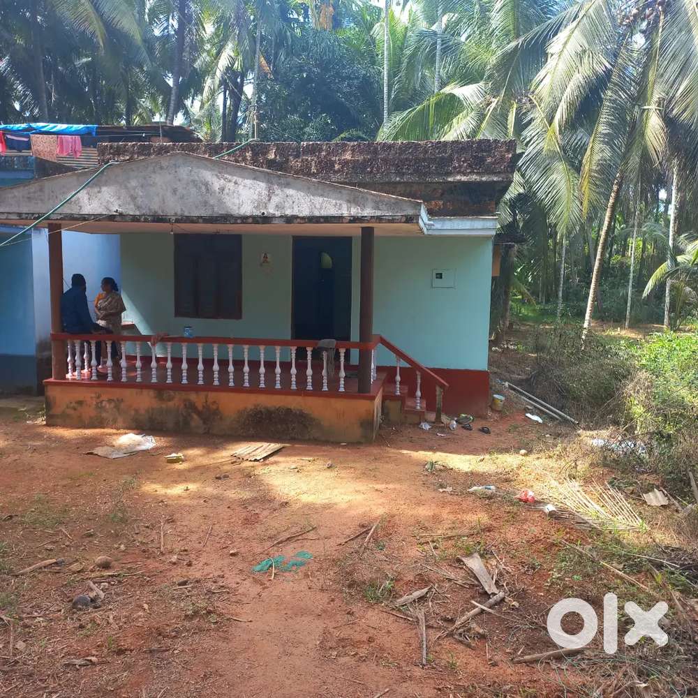 Ranipura uliya near kuthar koragajja katte 2km majalthota