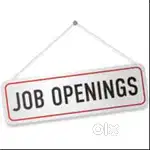 Delhi Job-Work part time and earn handsome money (Females only)