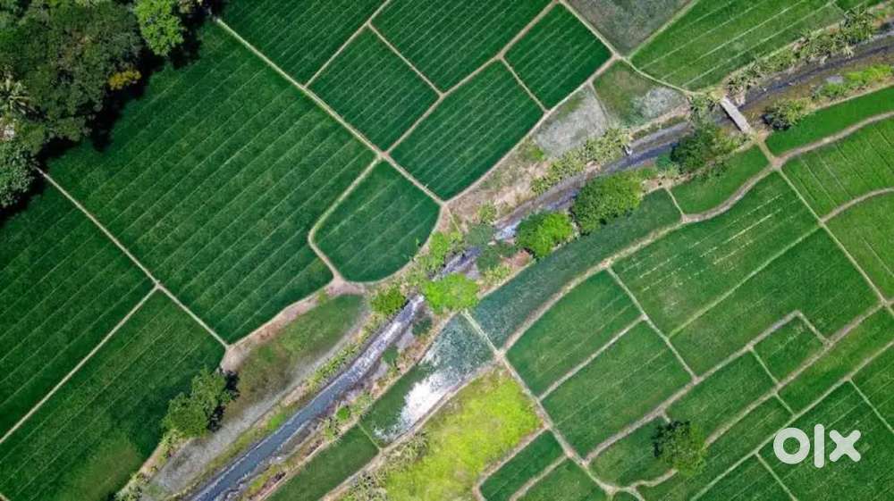 Narayankhed: One Acre Farm land beside BT Road Near NH 161B