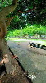PLOT FOR SALE SECTOR 115 JTPL PARK FACING KHARAR LANDRA ROAD