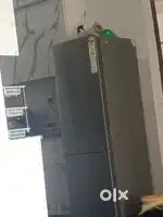 Fridge dubal door