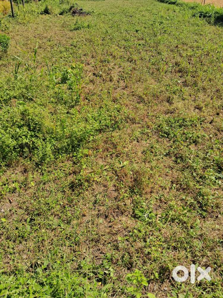 Pakki Registry dakhil kharij vali land for sale