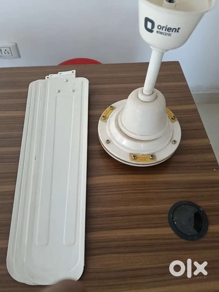 Orient ceiling fan and commercial gas stove