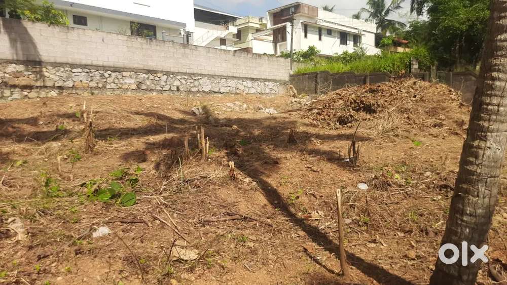 New Plot For Sale Near Thachott Kavu, Akshaya Nagar, Badani Lane