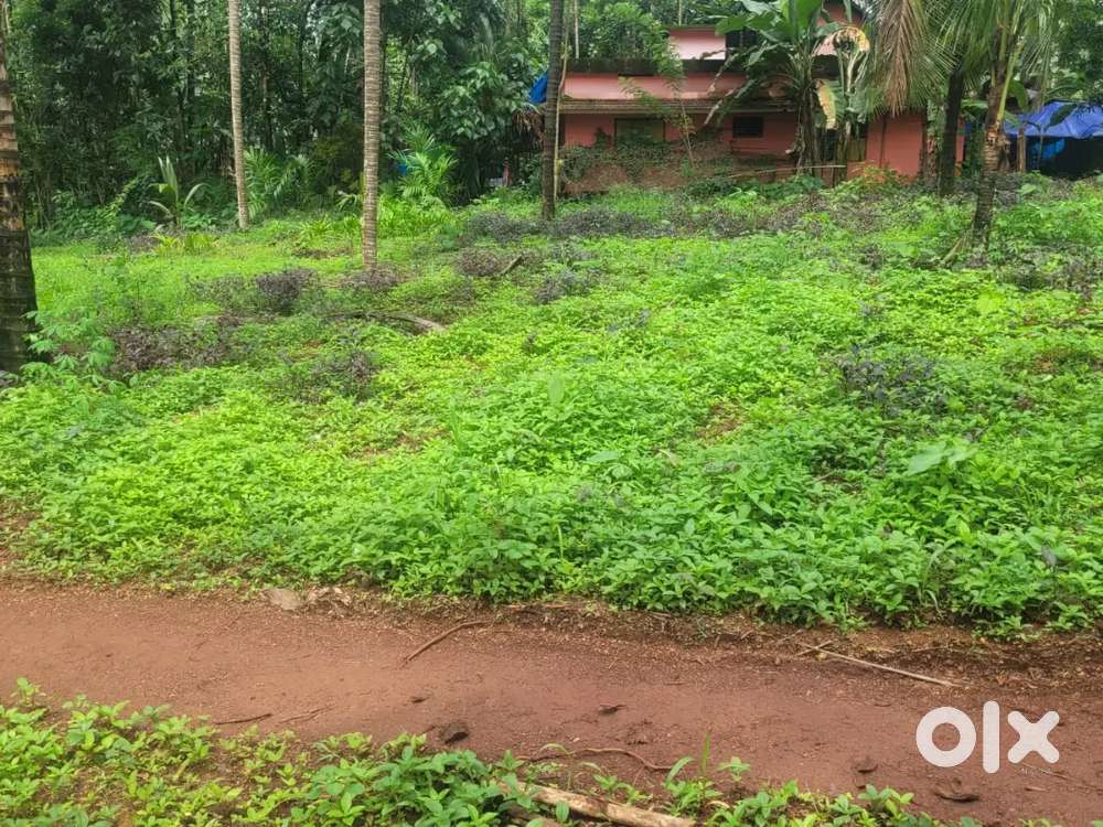 Plots for sale near paramba road junction