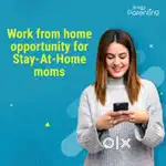 It's offline data typing Work,